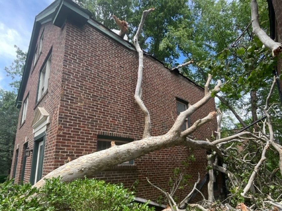 Large tree fallen against the brick wall and roofline of a two-story home